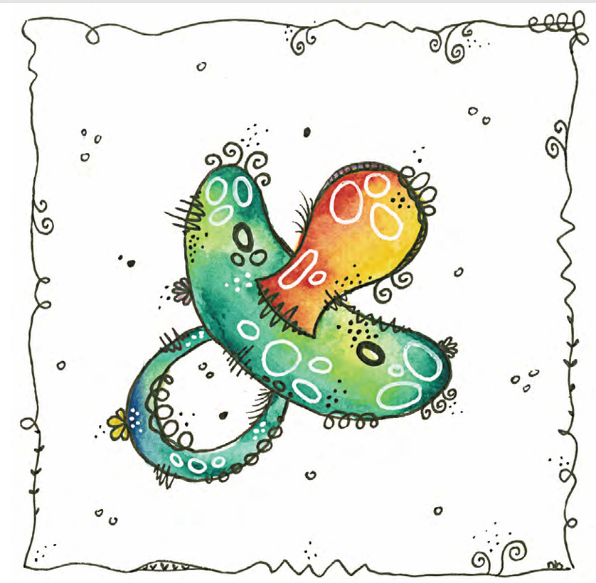 QU-00013 Nuggi